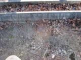 image of grave number 365085